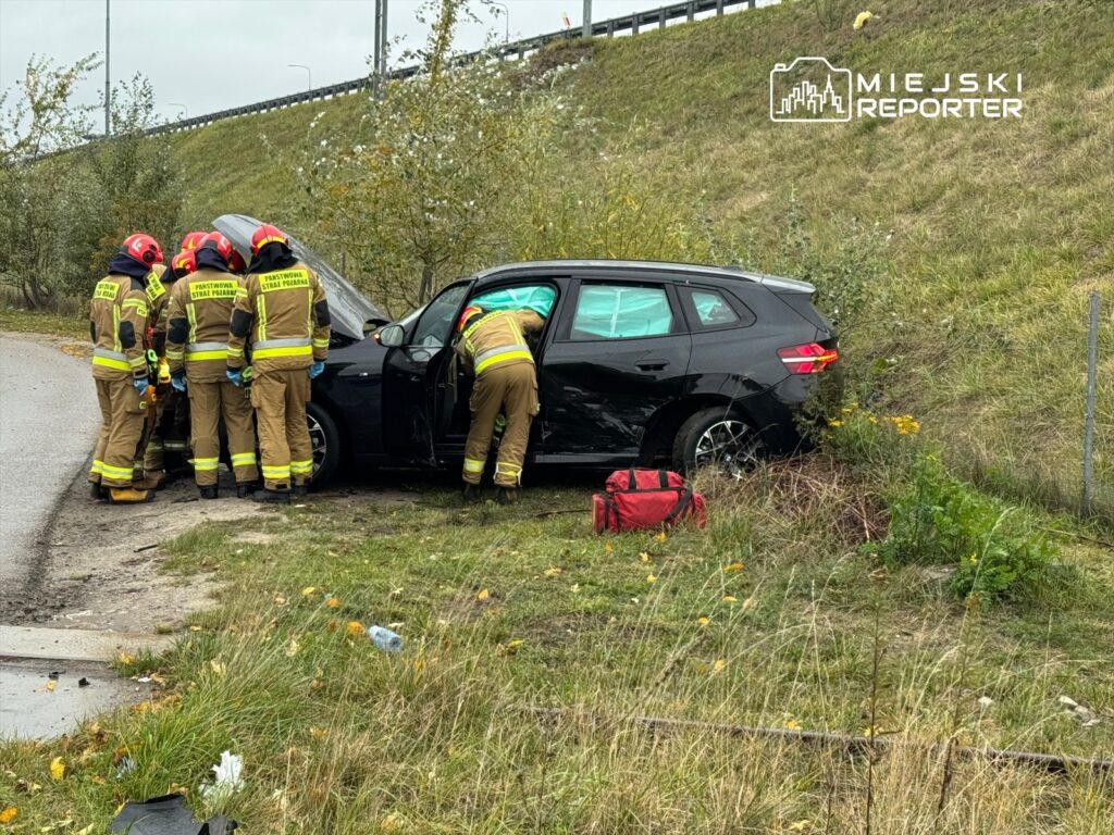 Grupa strażaków w mundurach przeszukuje czarny samochód osobowy przy drodze, obok rosnących krzewów.
