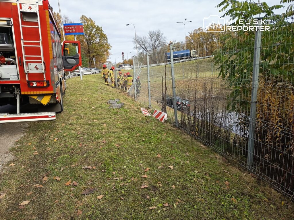 Grupa strażaków w mundurach pracuje przy ogrodzeniu, obok wozu strażackiego, na poboczu drogi.