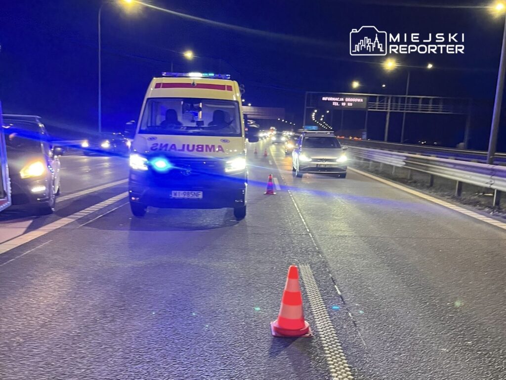 Ambulans z włączonymi sygnałami świetlnymi zatrzymany na drodze, obok samochody osobowe i pachołki drogowe.