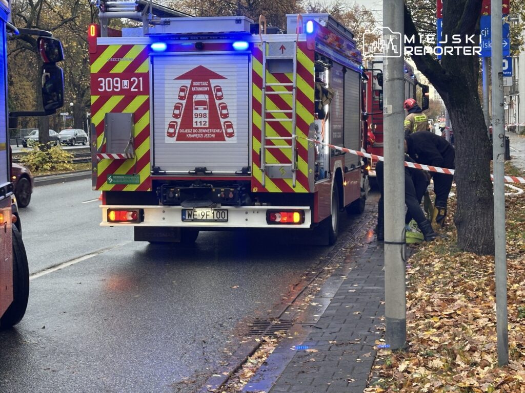 Czterech strażaków pracuje nad usunięciem przeszkody przy wozie strażackim na ulicy, otoczonym liśćmi.