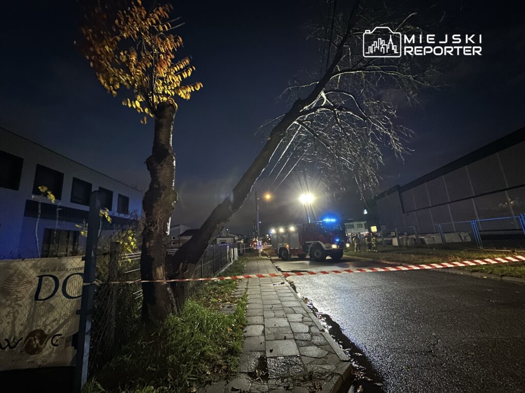 Straż pożarna z włączonymi sygnałami świetlnymi stoi przy przewróconym drzewie na oświetlonej ulicy.