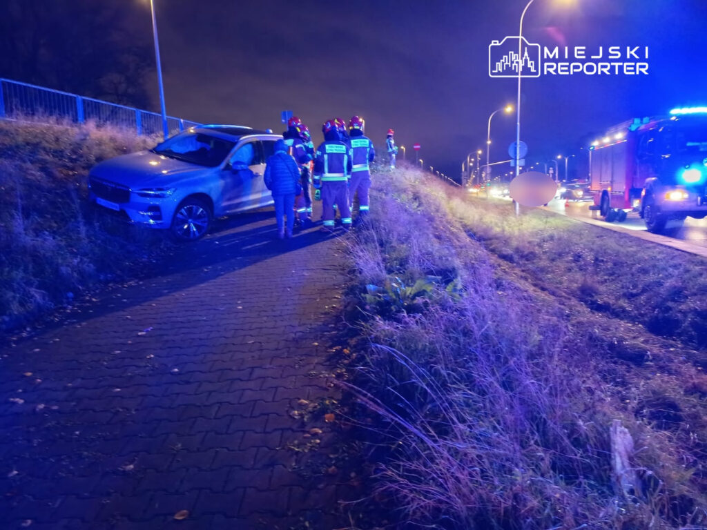 Grupa strażaków rozmawia z osobą obok uszkodzonego samochodu na poboczu drogi w nocy.