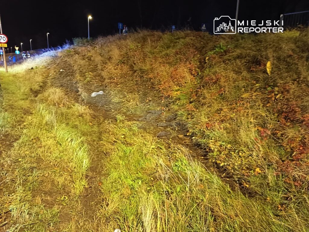 Zarośnięty skraj drogi z widocznymi śladami pojazdu oraz odpadami, oświetlony przez latarnie w nocy.