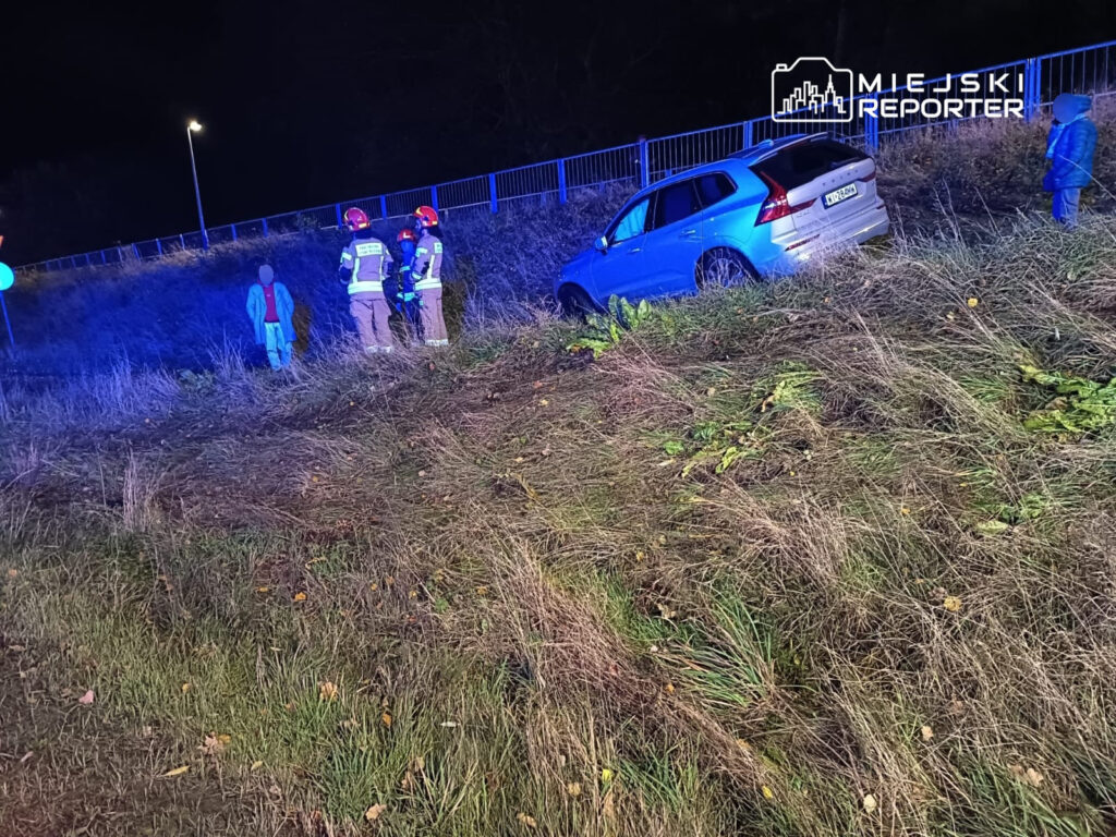 Grupa ratowników w odblaskowych kamizelkach ocenia sytuację obok samochodu, który wpadł w zarośla.