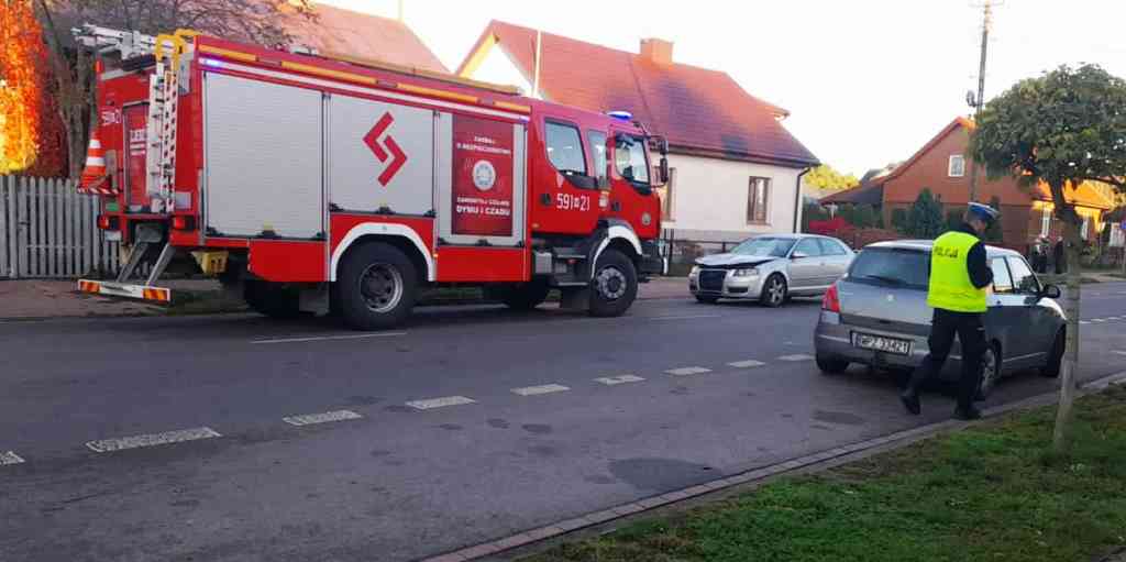 Straż pożarna z włączonymi sygnałami świetlnymi zatrzymana przy drodze, obok policjant sprawdzający dokumenty kierowcy.