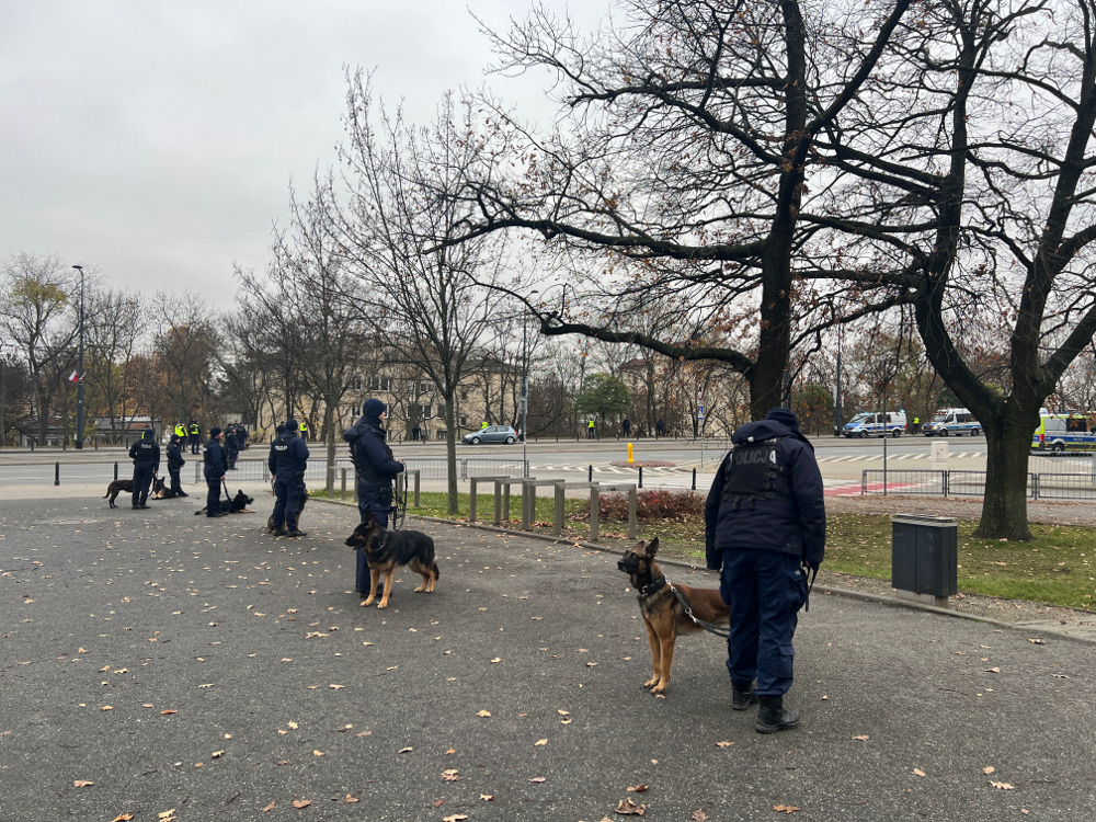 Grupa policjantów z psami patrolowymi stoi na chodniku w parku, w tle widoczne radiowozy.
