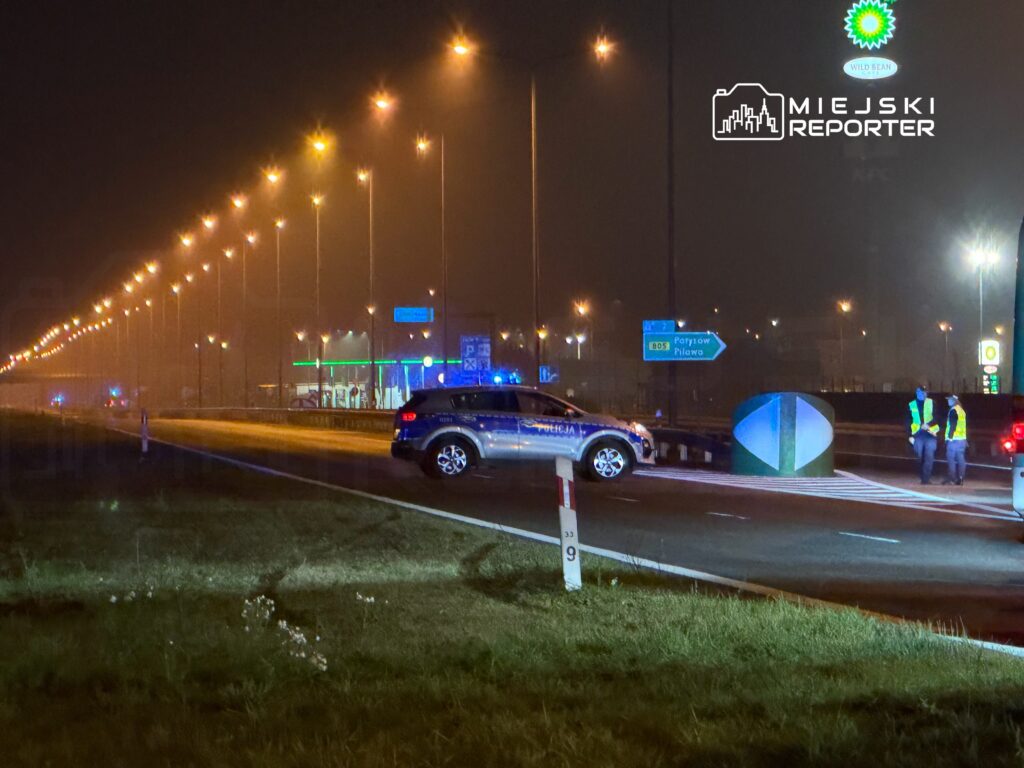 Policjanci w odblaskowych kamizelkach prowadzą czynności na drodze, obok zaparkowanego radiowozu w nocy.