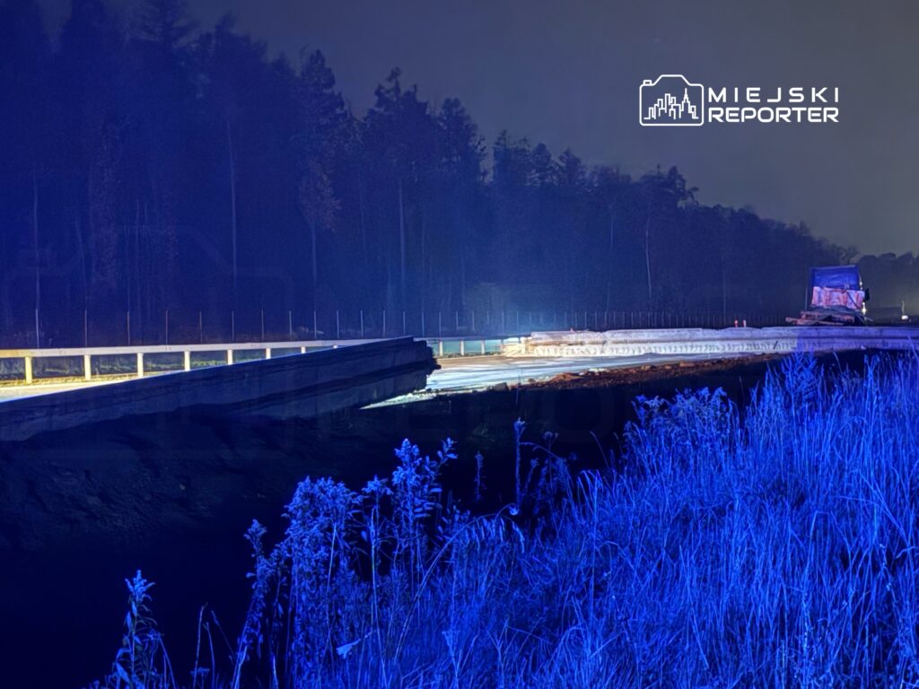 Nocna scena budowy drogi z oświetleniem, widoczne maszyny i otaczająca roślinność.