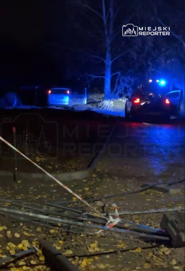 Policyjny radiowóz z włączonymi sygnalizatorami na tle uszkodzonego samochodu w ciemnym otoczeniu, otoczonego liśćmi.