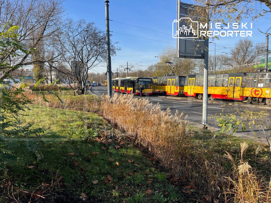 Tramwaje w żółto-czerwonym malowaniu czekają na przystanku obok zarośli oraz trawnika w miejskim otoczeniu.