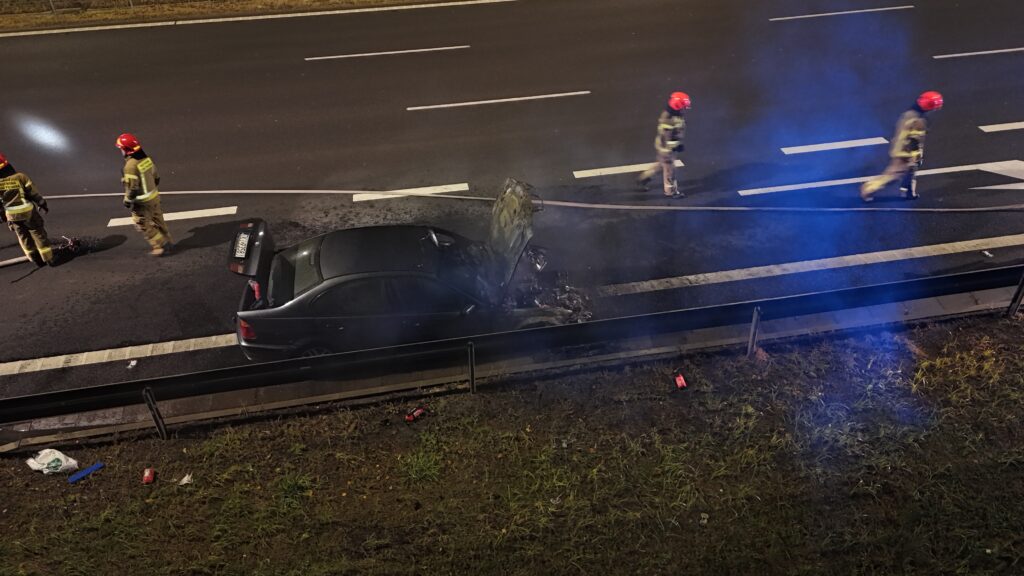 Strażacy w hełmach przeszukują uszkodzony samochód na poboczu drogi, obok widoczne ślady po wypadku.