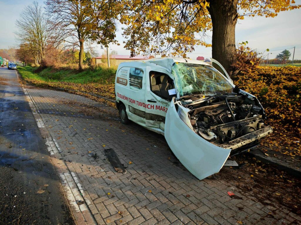 Uszkodzony furgon z rozbitą przednią szybą stoi na poboczu drogi, otoczony opadłymi liśćmi w słoneczny dzień.