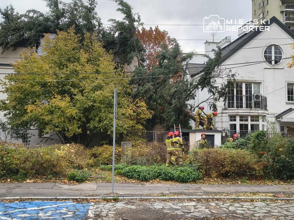 Strażacy w kaskach usuwają przewrócone drzewo z dachu budynku w otoczeniu zieleni i zabudowy mieszkalnej.