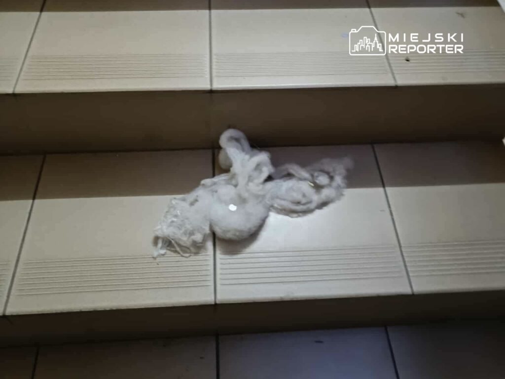 Na schodach leży plątanina białego materiału, przypominająca resztki włókien lub tkaniny.