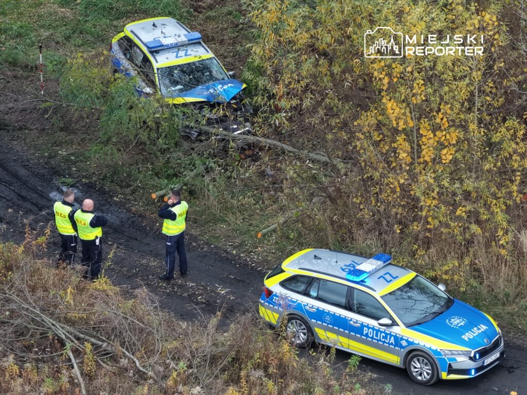Czterech policjantów w kamizelkach odblaskowych rozmawia obok uszkodzonego radiowozu w zaroślach.