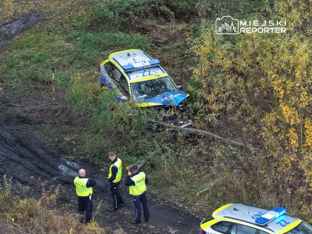 Trzech policjantów w żółtych kamizelkach obserwuje uszkodzony radiowóz w lesie, otoczony drzewami i gęstą roślinnością.