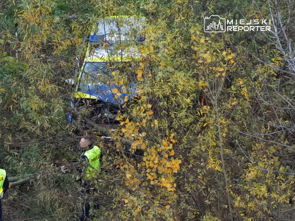 Policjanci przeszukują teren zarośnięty krzewami, obok widoczny pojazd w niebiesko-żółtych barwach.