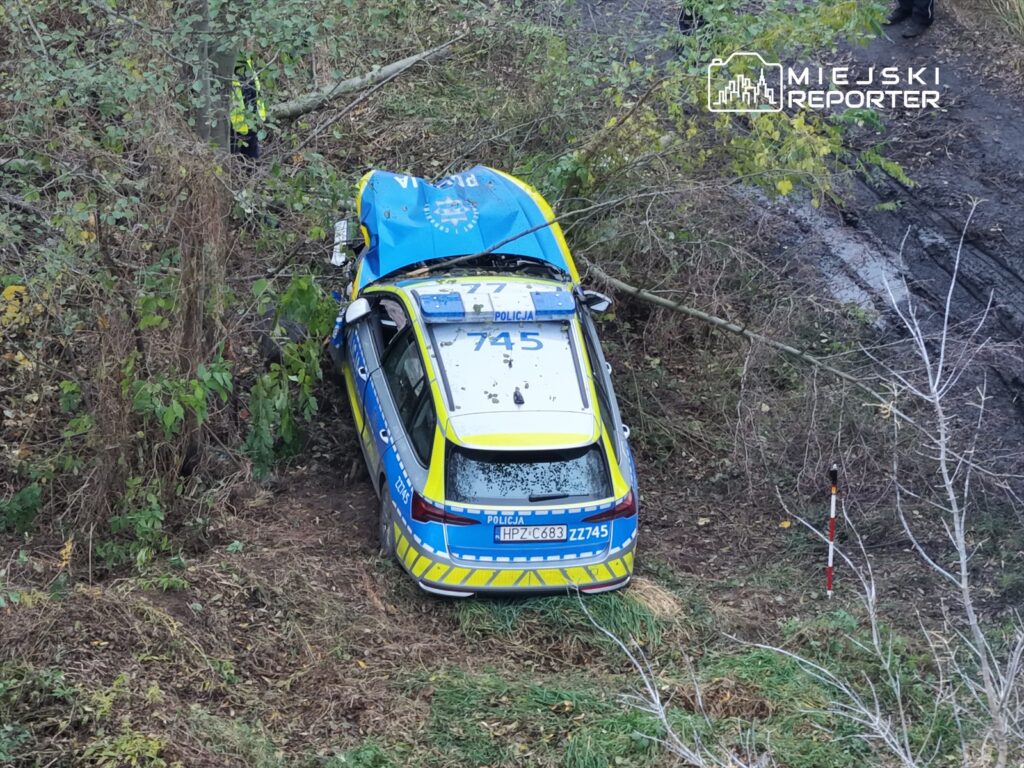 Policyjny radiowóz w rowie, częściowo ukryty w zaroślach, obok leżąca gałąź i oznakowanie drogi.