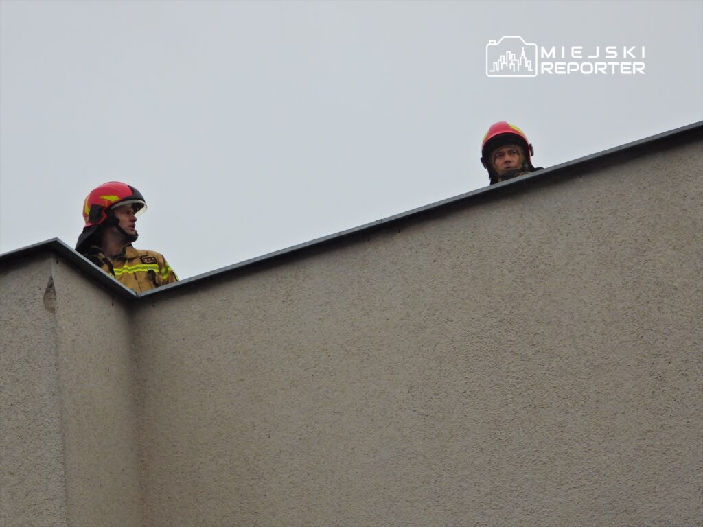 Dwaj strażacy w kaskach obserwują okolicę z dachu budynku w pochmurny dzień.