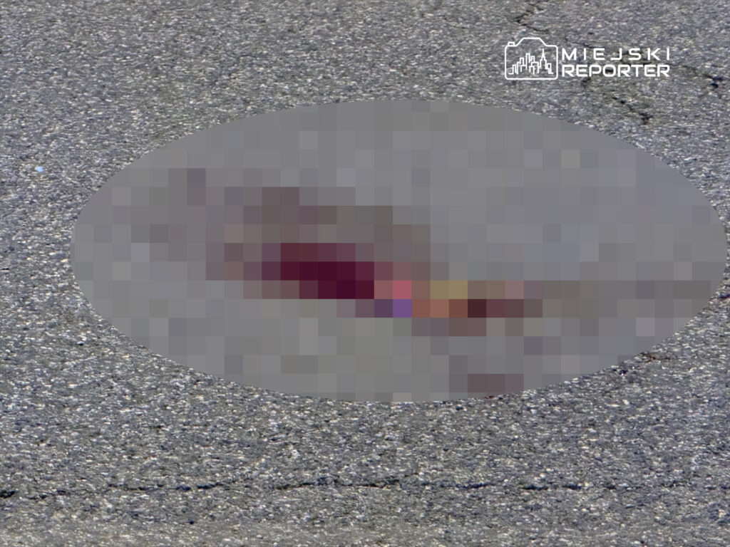 Na asfalcie leży nieczytelny obiekt w odcieniach czerwieni i brązu, otoczony szarym podłożem.