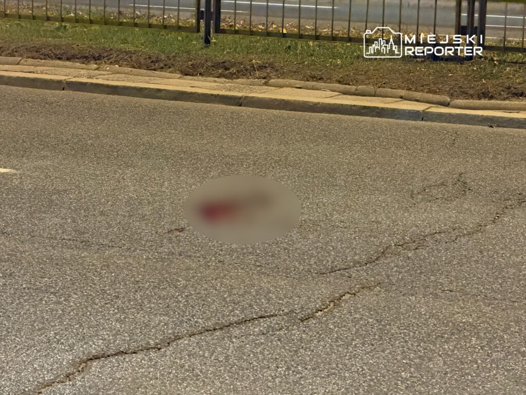 Na jezdni leży nieokreślony obiekt w plamie krwi, w tle widać ogrodzenie i pas ruchu.