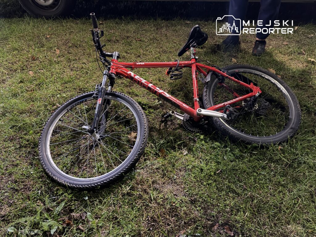 Czerwony rower górski leży na trawie obok ciemnego pojazdu, w otoczeniu zielonej roślinności.