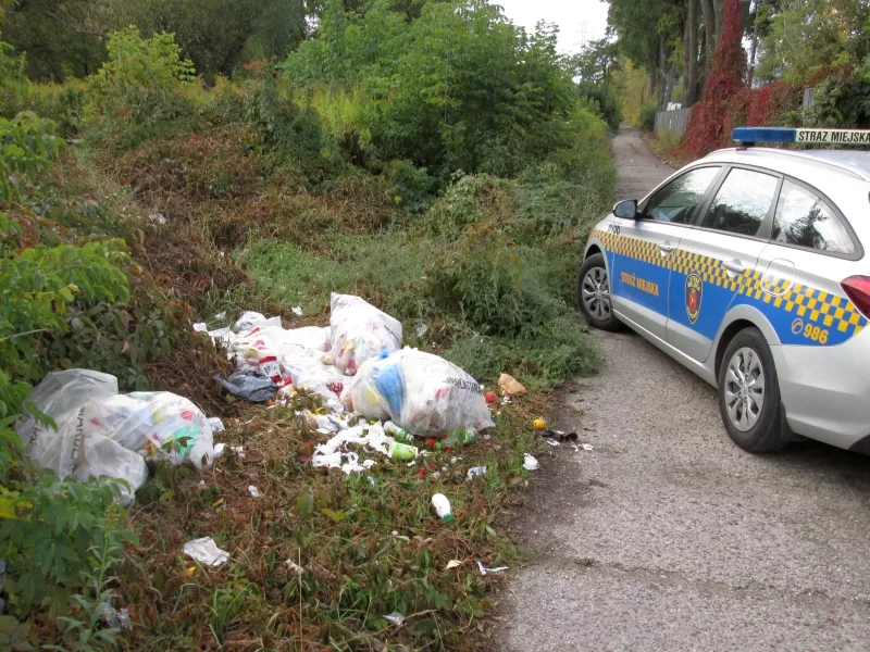 Śmieci porzucone w zaroślach obok wąskiej drogi, obok stoi radiowóz straży miejskiej.