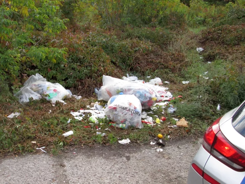 Odpady w plastikowych workach porzucone w zaroślach przy drodze, otoczone resztkami śmieci i zieleni.