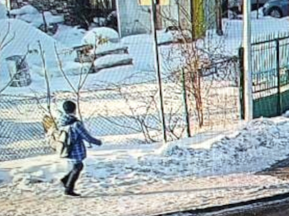 Dziecko w niebieskiej kurtce idzie po zaśnieżonej ulicy, obok ogrodzenia i drzew w zimowym otoczeniu.