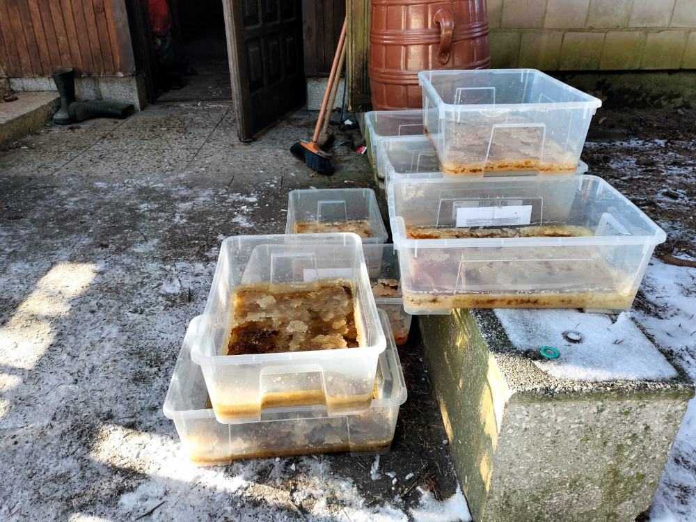 Przezroczyste pojemniki z brązowym płynem i lodem ustawione na szarej płycie, w tle drewniane drzwi i narzędzia.