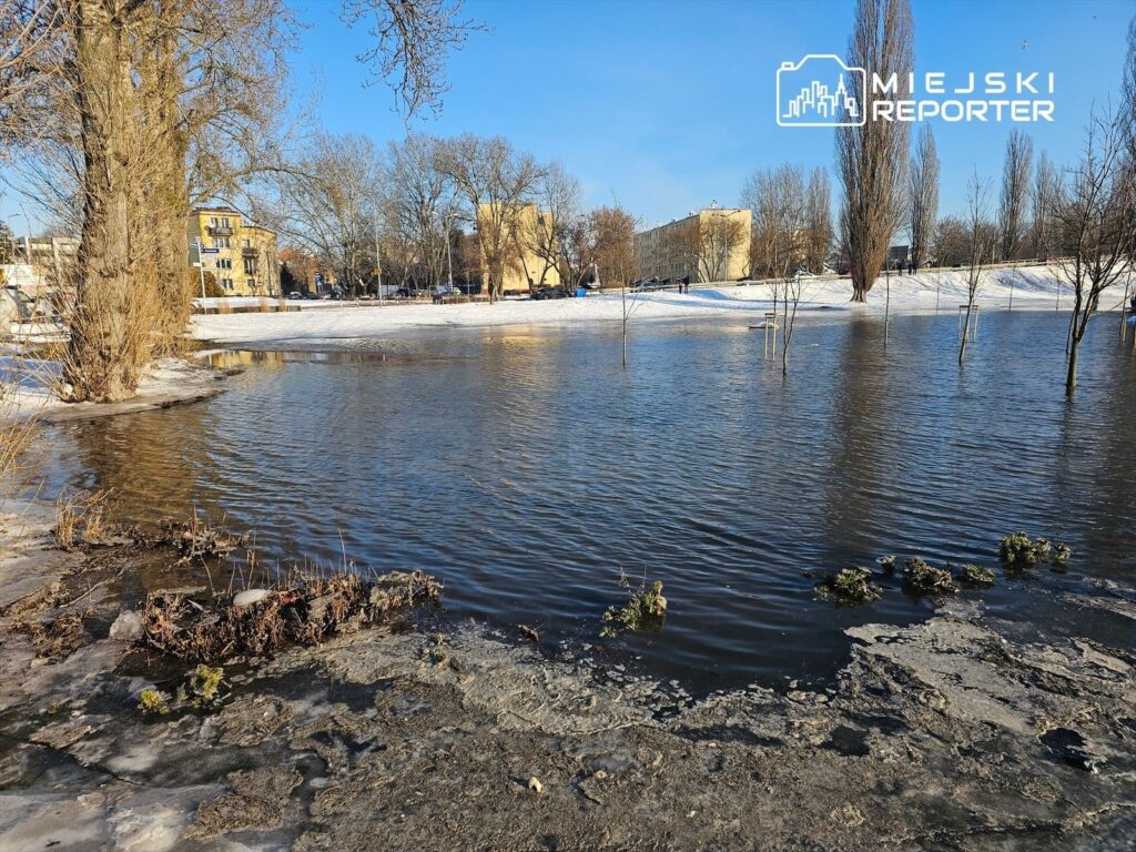 Zamarznięta woda z widocznymi fragmentami roślinności w miejskim parku, w tle budynki i drzewa.