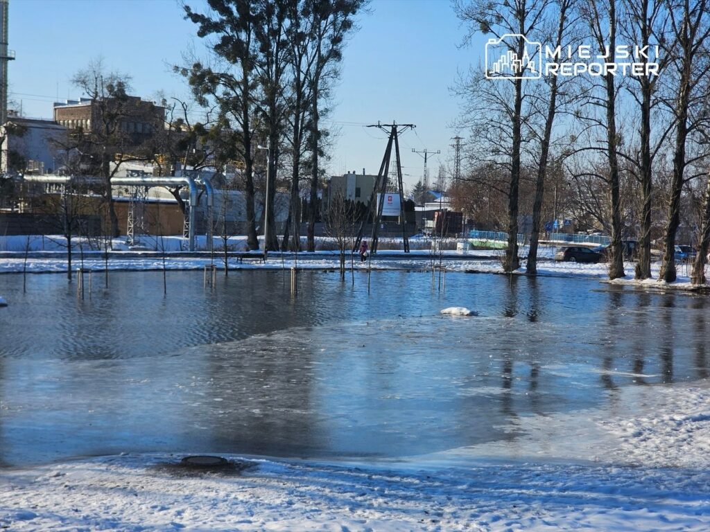 Zamarznięta tafla wody otoczona drzewami w miejskim krajobrazie, w tle widoczne budynki i słupy elektryczne.