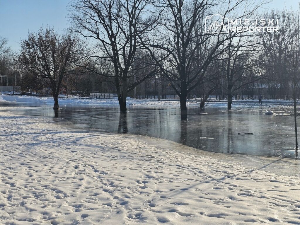 Zamarznięta powierzchnia wody otoczona śniegiem i drzewami w słonecznym parku, z widocznymi śladami na śniegu.