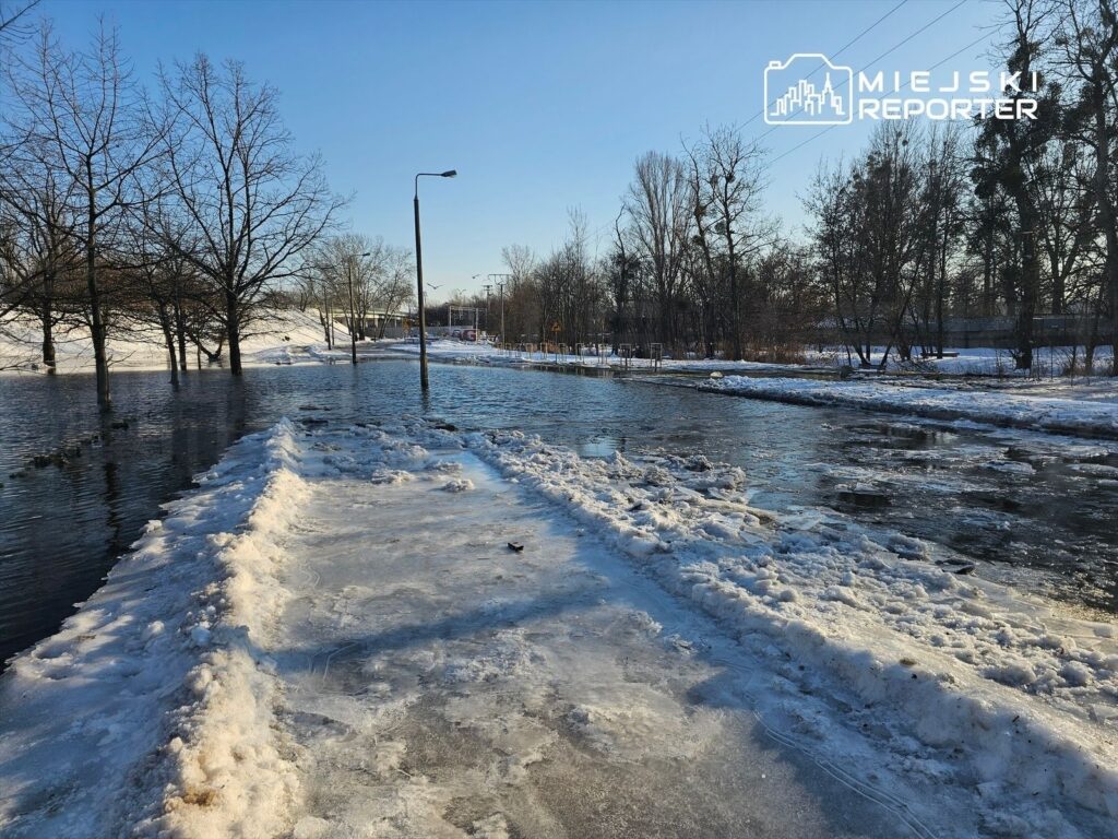 Zamarznięta droga otoczona wodą, z widocznymi drzewami i latarnią w tle, w słoneczny dzień.