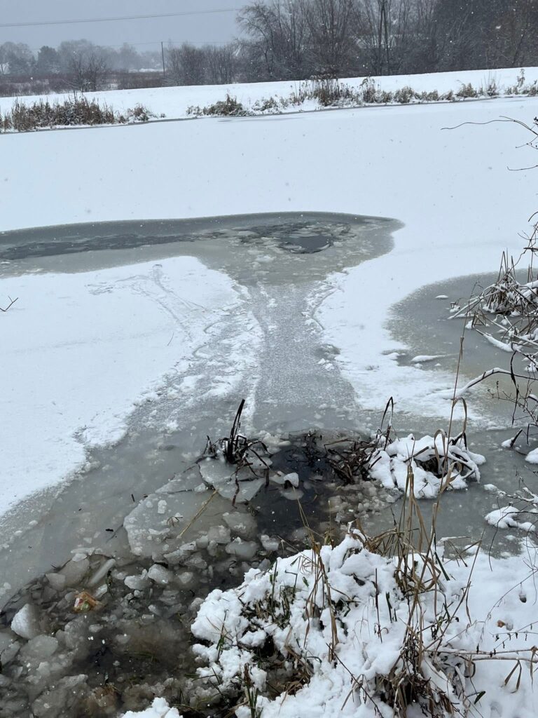Lodowata powierzchnia zbiornika wodnego z fragmentami topniejącego lodu, otoczona śniegiem i suchą roślinnością.