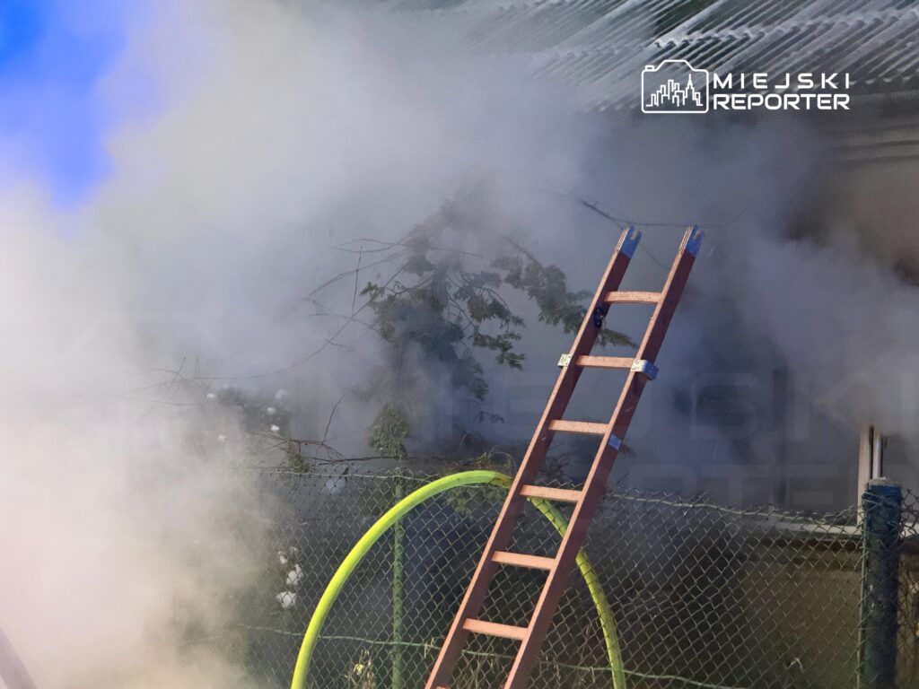 Gęsty dym unoszący się w powietrzu, drabina oparta o ogrodzenie, zielony element w tle.