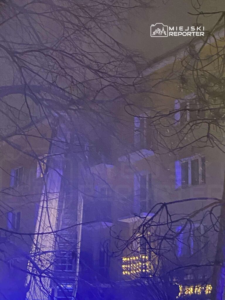 W tle widoczny budynek z oświetleniem, a z przodu strażacka drabina ustawiona wśród gałęzi drzew.