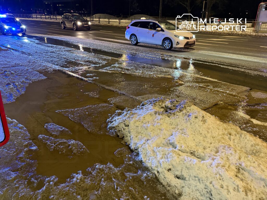 Na drodze widoczna jest plama wody z roztopionym śniegiem, obok przejeżdżające samochody, w tle niebieskie światła policyjne.