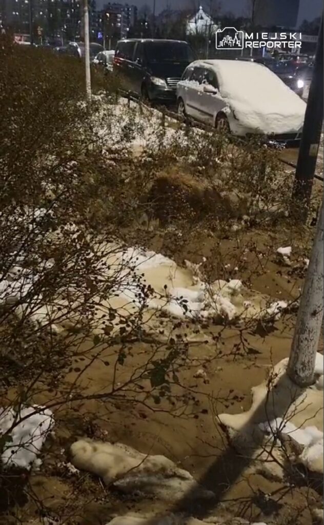 Zasypana śniegiem ulica z zaparkowanymi samochodami i zaroślami, w tle oświetlone budynki.