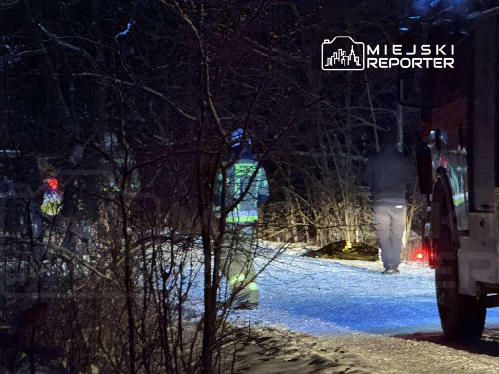 Grupa osób w odblaskowych kamizelkach przeszukuje oświetlony obszar leśny w nocy, obok pojazdu służb ratunkowych.