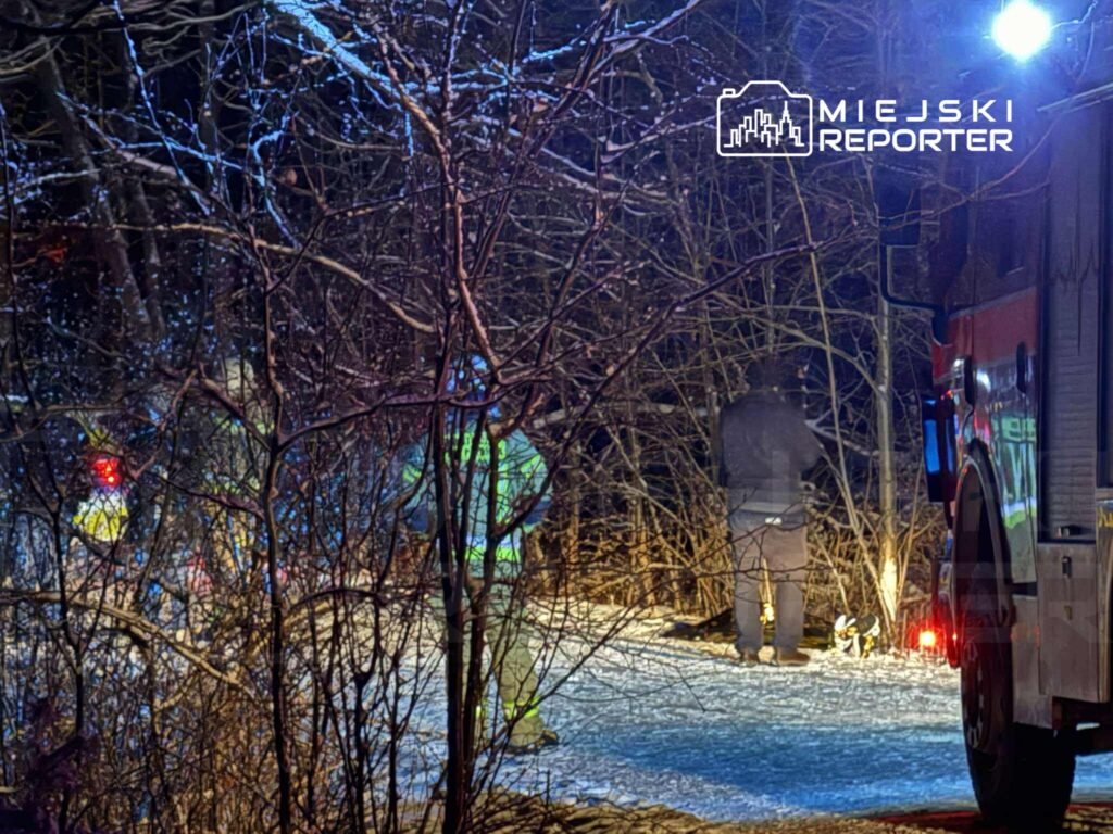 Ratownicy w odblaskowych kamizelkach pracują w lesie, obok wozu strażackiego, w oświetlonym miejscu pokrytym śniegiem.