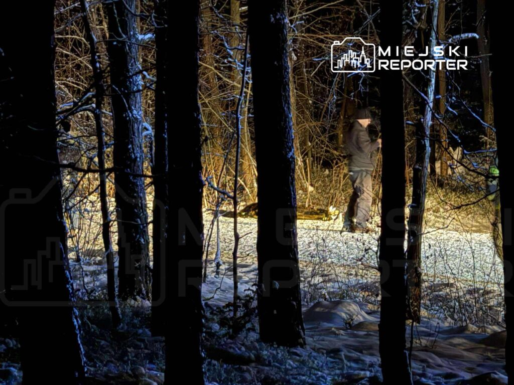 Mężczyzna w ciemnym ubraniu przeszukujący teren leśny, oświetlony latarką, w otoczeniu drzew pokrytych śniegiem.