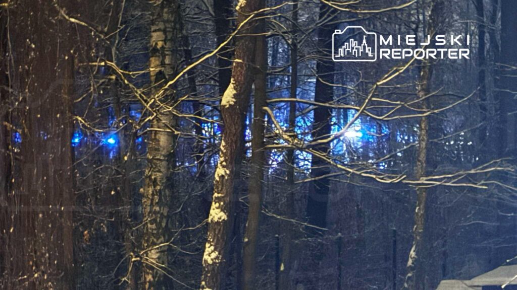 Niebieskie światła odbijające się w lesie, otoczone drzewami pokrytymi śniegiem w nocnej scenerii.