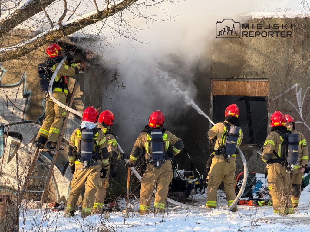 Grupa strażaków w hełmach gasząca pożar w opuszczonym budynku, otoczonym śniegiem i zaroślami.