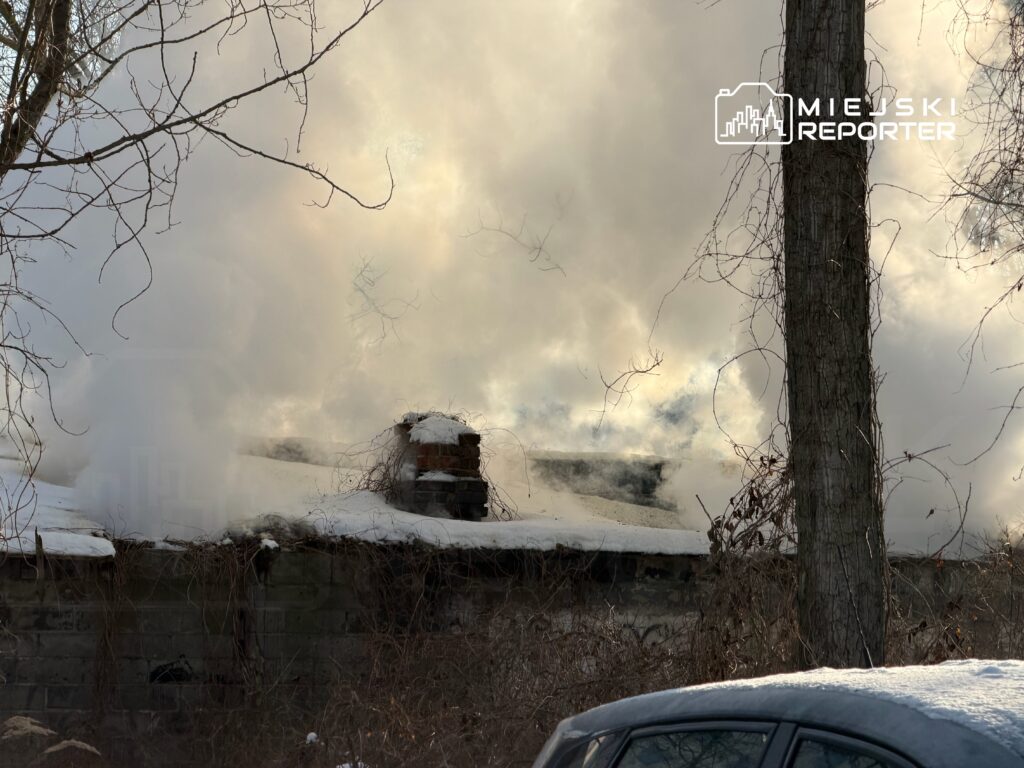 Dym wydobywający się z komina pokrytego śniegiem, w otoczeniu nagich drzew i zasłoniętego słońcem nieba.