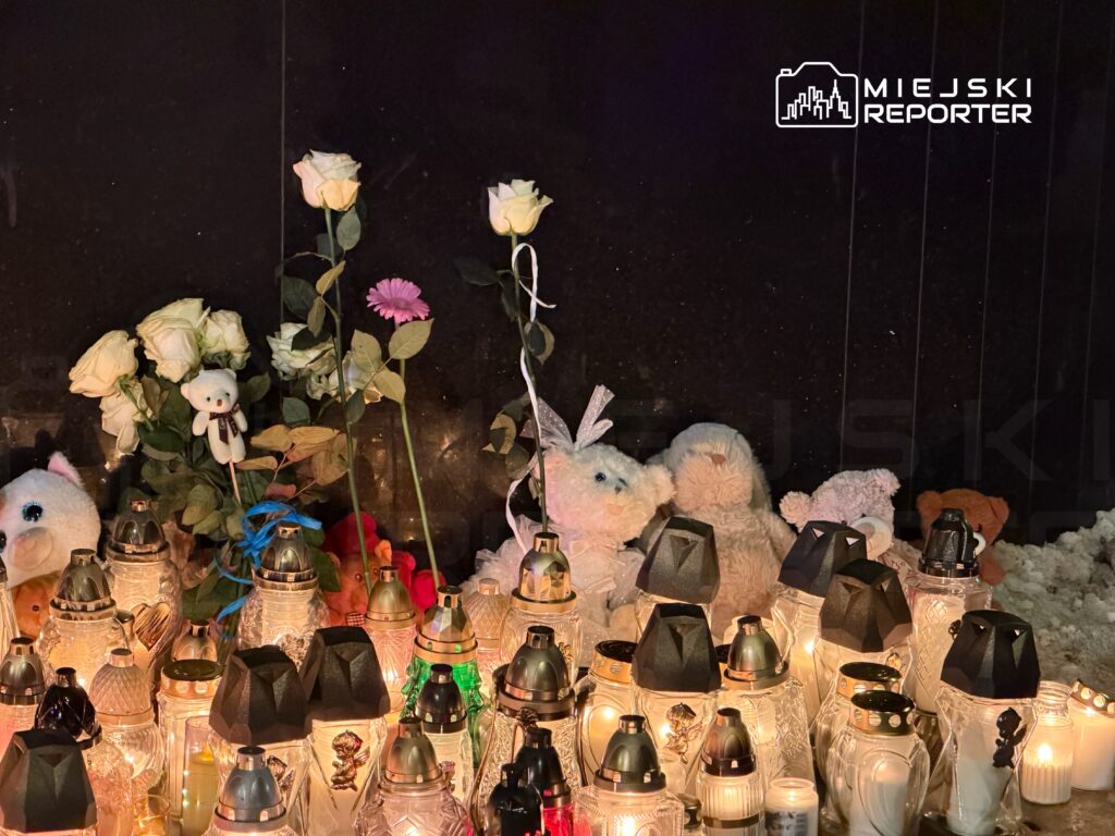 Świeczki i znicze ustawione przy tablicy pamiątkowej, obok białe róże i pluszowe zabawki.