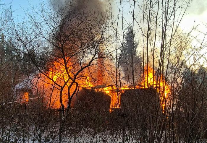 Ogień strawił drewniany budynek w lesie, wydobywają się wysokie płomienie i gęsty dym.