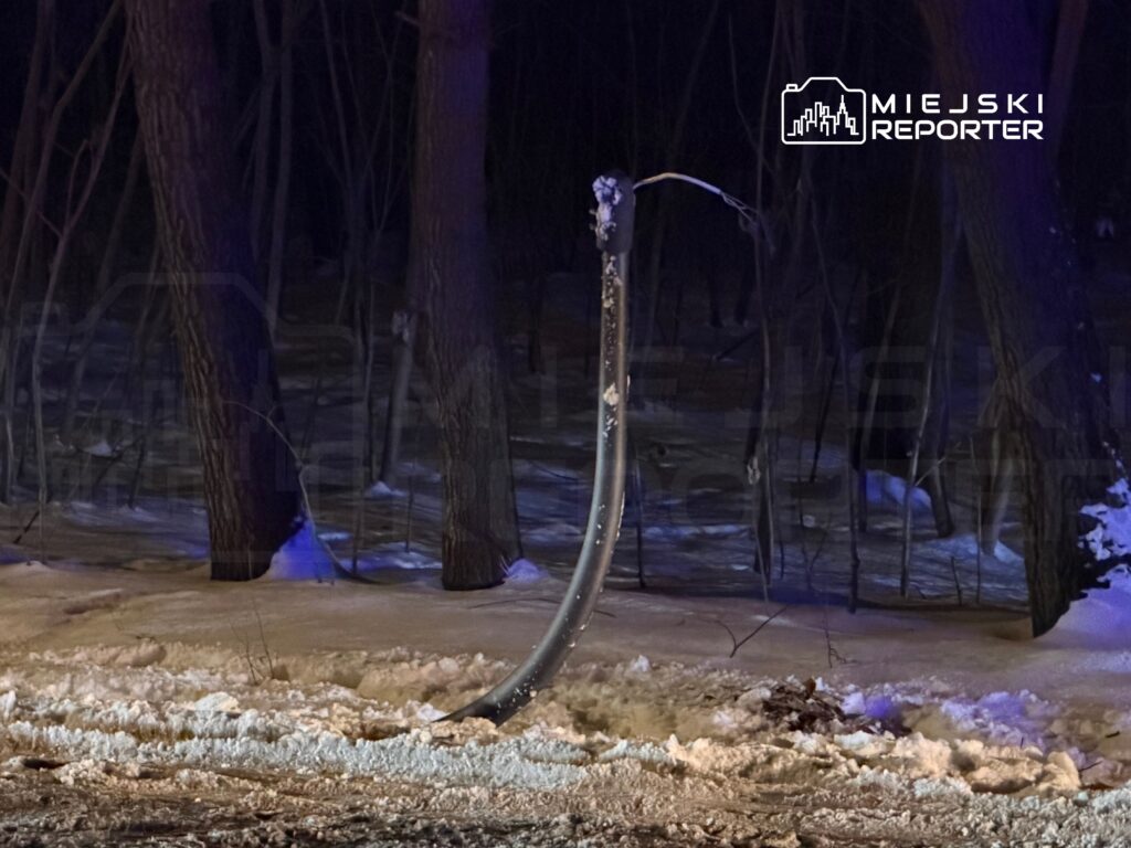 Złamany słup oświetleniowy leży na śniegu w lesie, otoczony drzewami w ciemności.