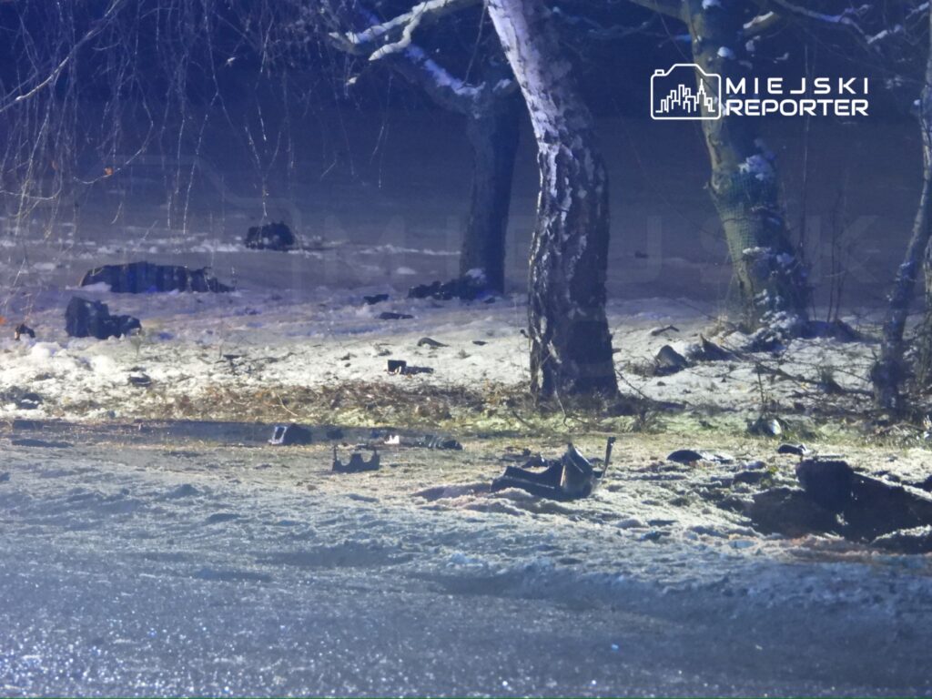 W terenie leśnym widoczne są resztki pojazdu na zaśnieżonej ziemi, otoczone drzewami i słabym oświetleniem.