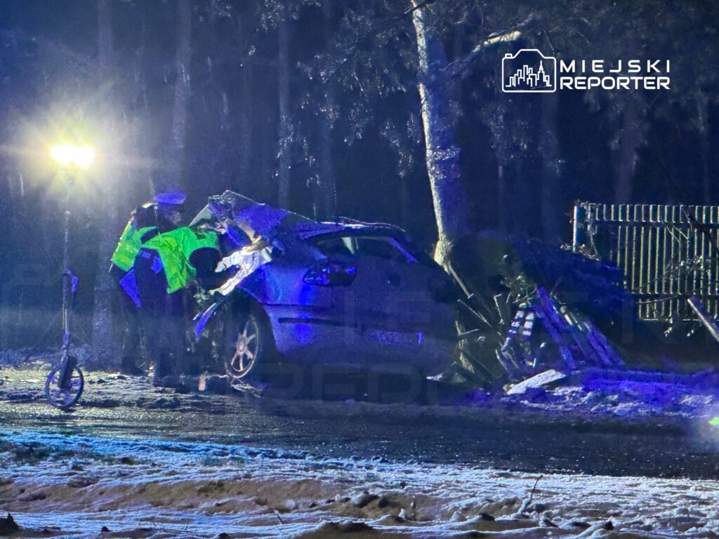 Policjanci w odblaskowych kamizelkach badają uszkodzony samochód osobowy przy drodze, w tle widoczny oświetlony słup.